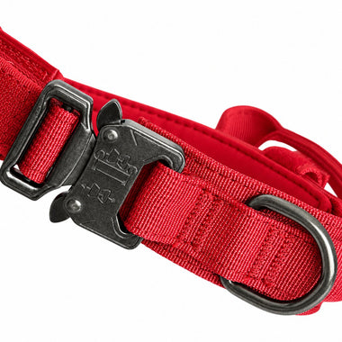 Red bungee tactical dog harness and leash set, front view
