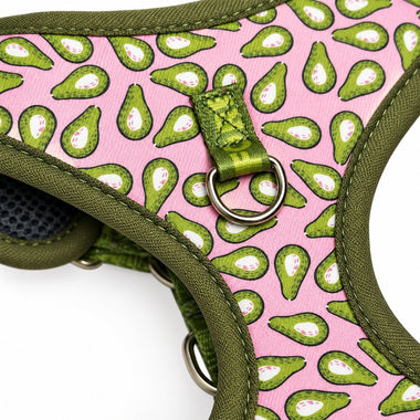 Avocado Rose print fashion print dog harness, front view