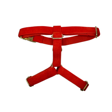 Red Velvet Corduroy Harness