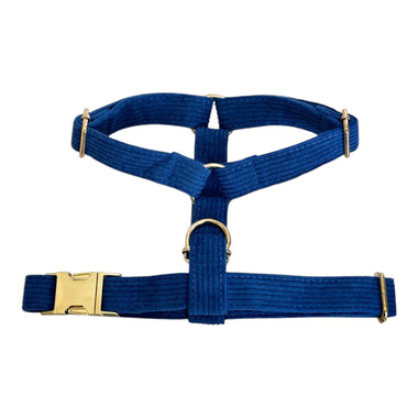 Royal Blue Velvet Corduroy Harness