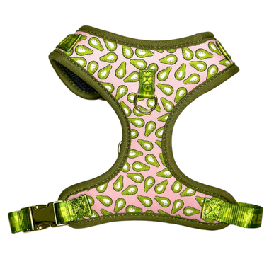 HARNESS FASHION AVOCADO ROSE
