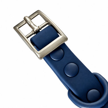 Blue PVC dog collar, detail view