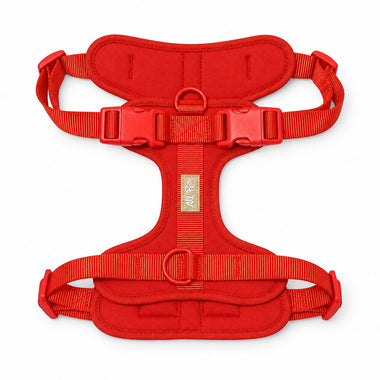 Red soft padded dog harness, front view