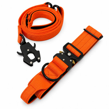Orange tactical dog collar and leash set, front view