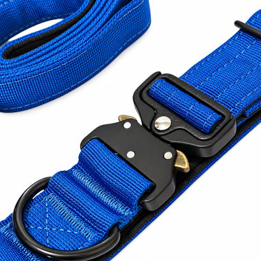 Cobalt tactical dog collar and leash set, detail view
