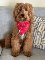 RAINBOW BLUSH TIE-ON BANDANA