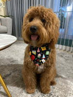 PAWTY TIME TIE-ON BANDANA
