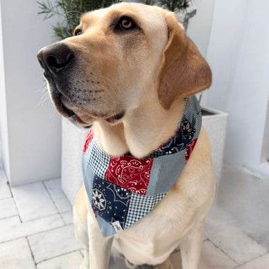 Country Pup print tie-on dog bandana, view 3