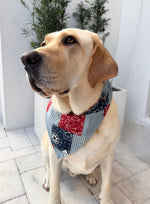COUNTRY PUP TIE-ON BANDANA