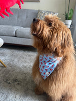 LOBSTER PARTY TIE-ON BANDANA
