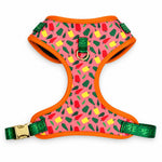 Happy Chilli print  fashion print dog harness, front view