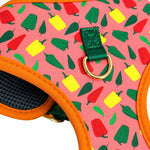 Happy Chilli print  fashion print dog harness, view 3
