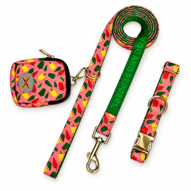 Happy Chilli print  fashion print dog harness, front view