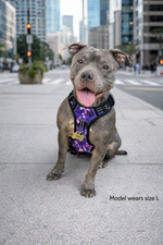 Tactical No-Pull Dog Harness - Purple Camo