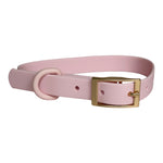 COLOR PVC COLLAR