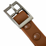 Brown PVC dog collar, detail view