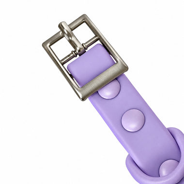 Lavender PVC dog collar, detail view