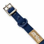 Blue PVC dog collar, detail view