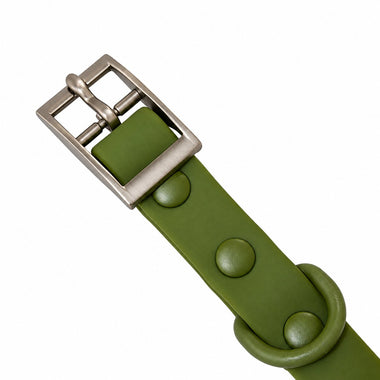 Olive PVC dog collar, detail view