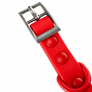 Red PVC dog collar, detail view