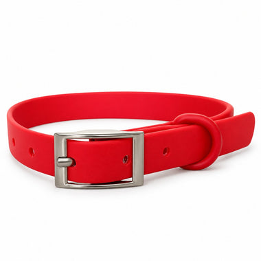 Red PVC dog collar, detail view