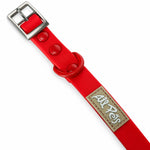 Red PVC dog collar, detail view