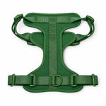 Green soft padded dog harness, front view