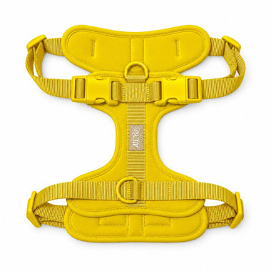 Yellow soft padded dog harness, front view