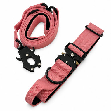 Dusty Rose tactical dog collar and leash set, front view