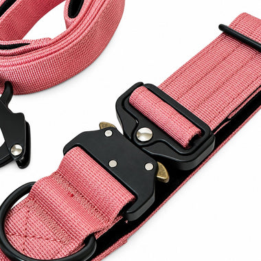 Dusty Rose tactical dog collar and leash set, detail view