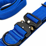 Cobalt tactical dog collar and leash set, detail view